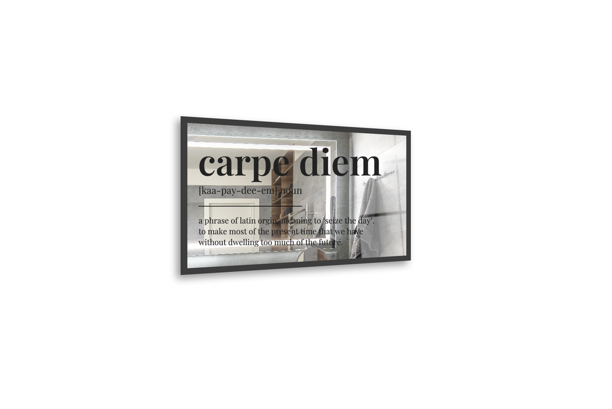 Carpe Diem – MirrorExhibit
